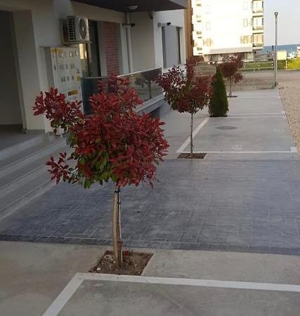 Mamaia Nord Apartament 18 Năvodari Extérieur photo